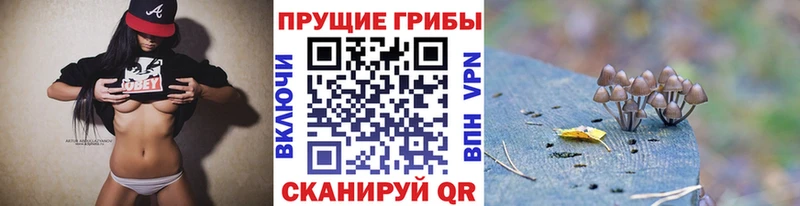 Псилоцибиновые грибы прущие грибы  ссылка на мегу ТОР  Байкальск 